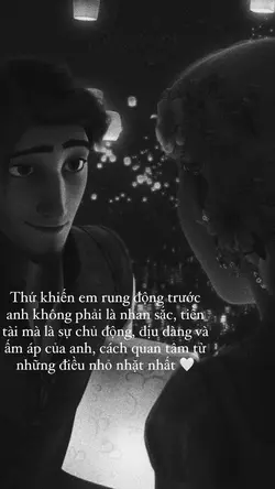 Share vd
