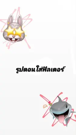 ฟิลเตอร์&กล้องสด