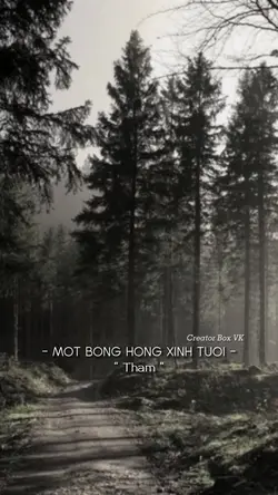 Trông em cứ như một