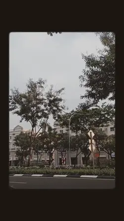 random video