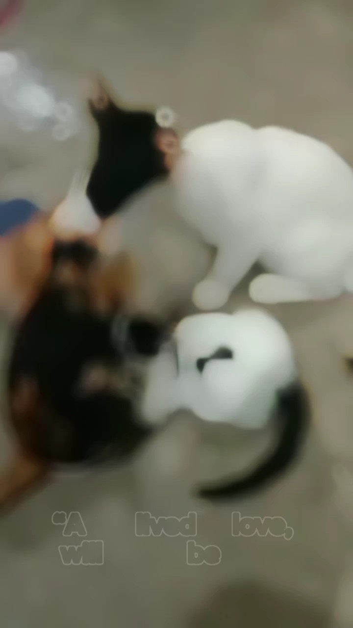 La vie avec amour