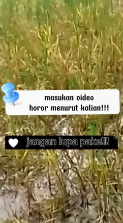 horor i wanna live