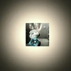 Really like U For rs