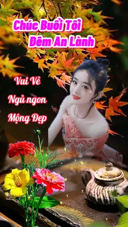 Chúc Buổi Tối