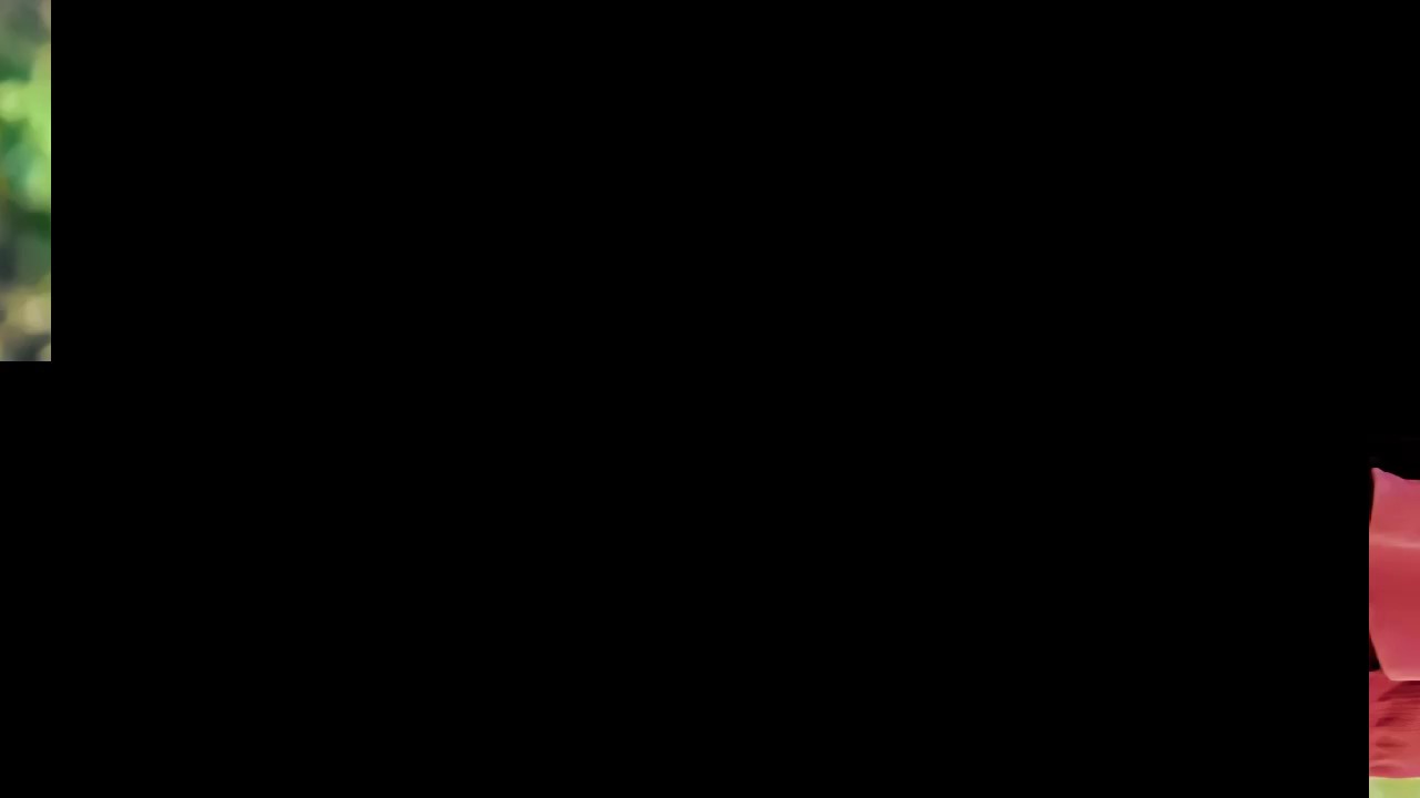 New template for you