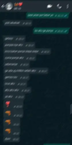 ss chat wa