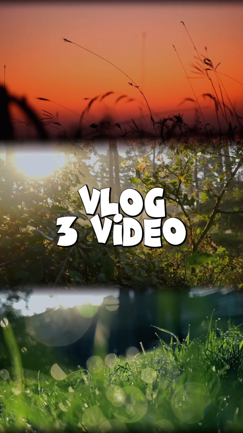 Vlog 3 video