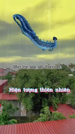 Rồng bay trên trời