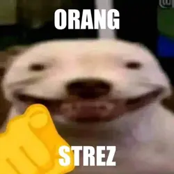 nanii itu apA