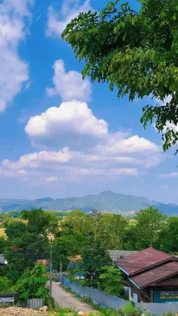 เพลง
