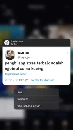 sama kucing aja