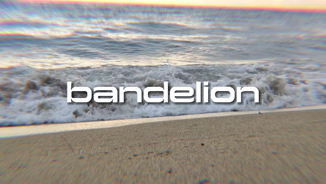 dandelion
