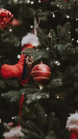 Dia Lahir Untuk Kami