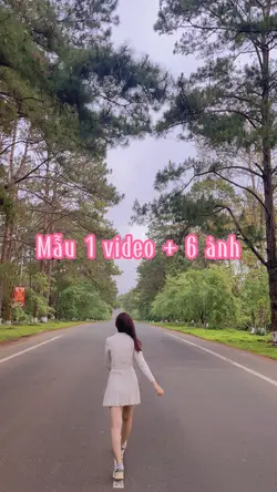 Mẫu 1 video + 6 ảnh