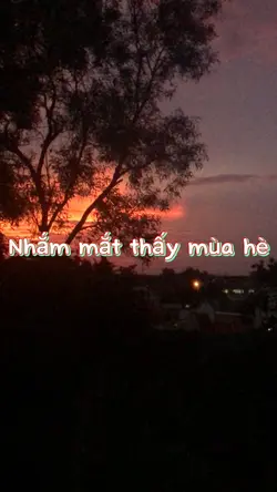 Mẫu không thay video