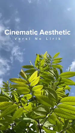 Cine 1 Menit nolirik