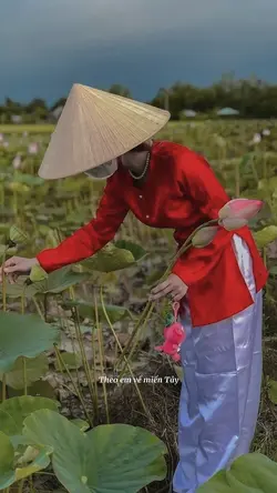 Lyrics + màu