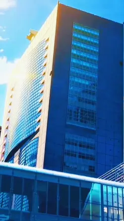 Status Wa Anime