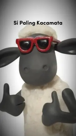 3. SiPaling Kacamata