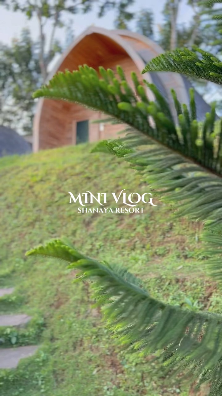 MINI VLOG 