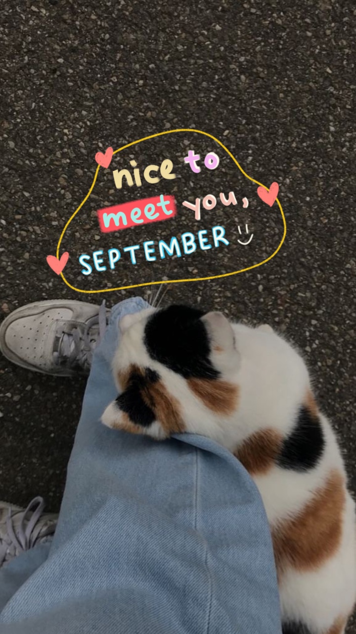 Meu lixão de setembro🌸