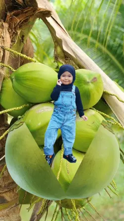 Anak Kelapa 15