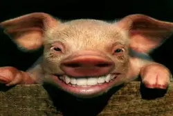 suarababi buat prank