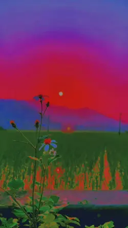 Slow thiên nhiên 