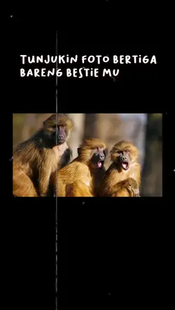 trend bareng bestie