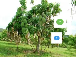 ตัดตลกๆ