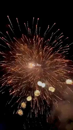 minivlog