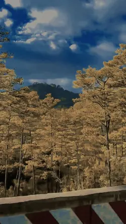 Slow thiên nhiên