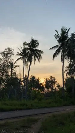 Vidio aesthetik sore