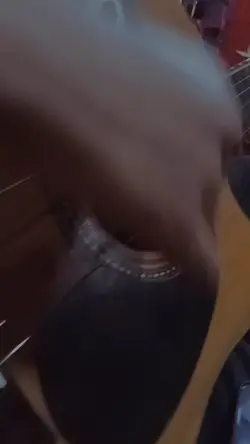 Prank gitar SW