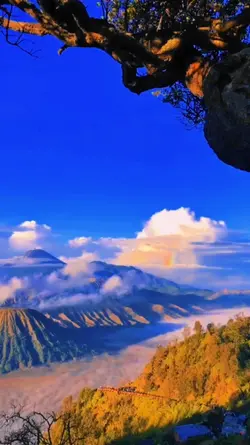 CINEMATIC FILTER