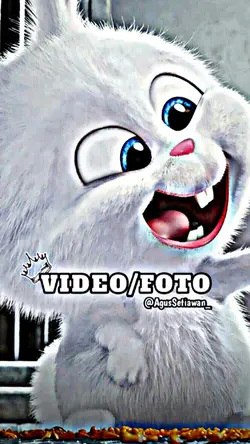 Jedag Jedug Viral
