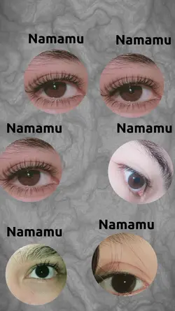 versi ber6