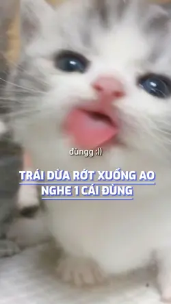 Ngồi ở dưới gốc dừa