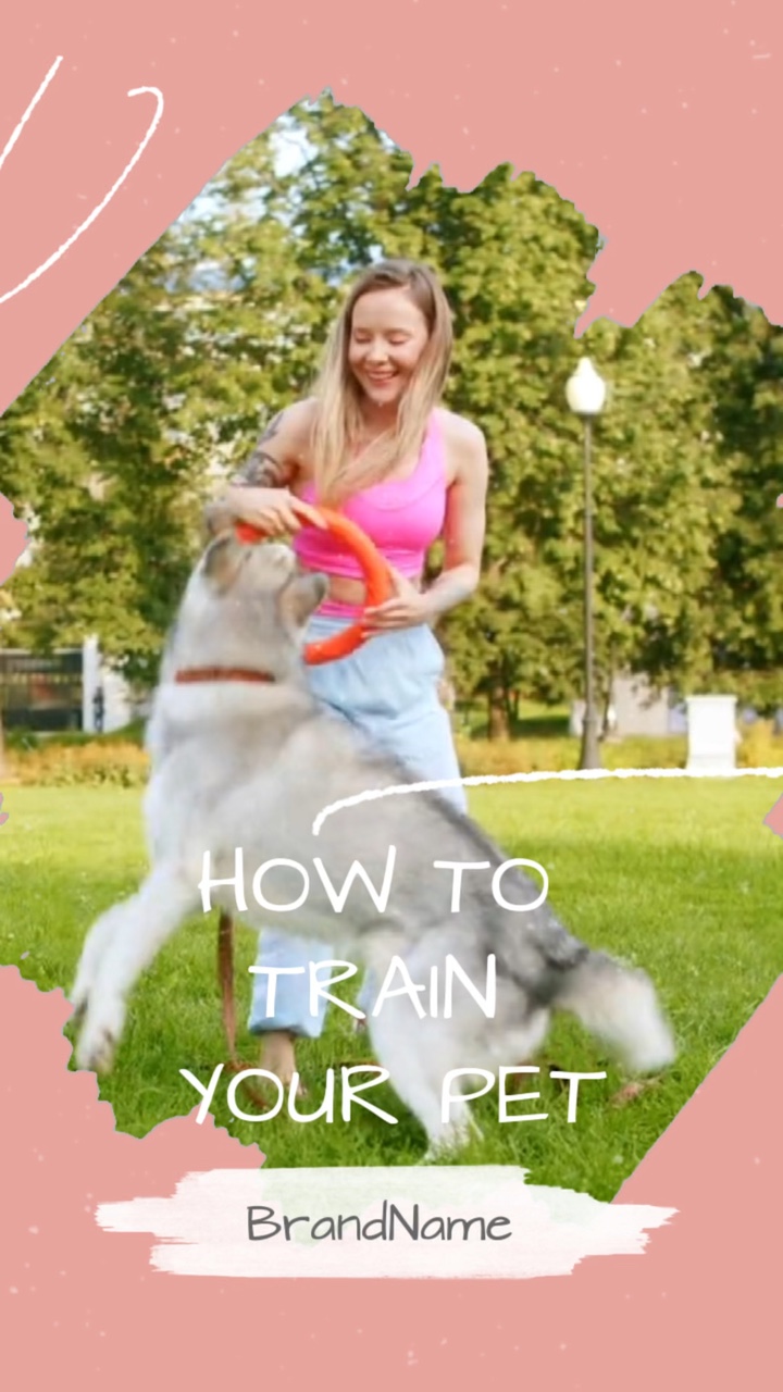 Pet Service Offline Promo