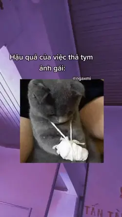 Chinhanhcungbatngo🤭