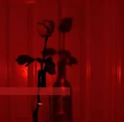 호미들-사이렌. 다음추천곡<