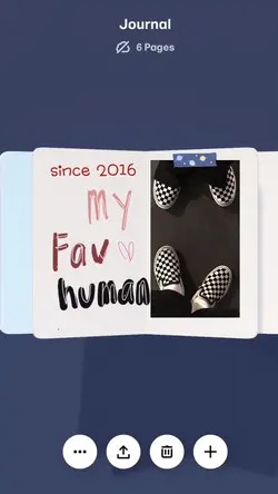 Trend Journal Tiktok