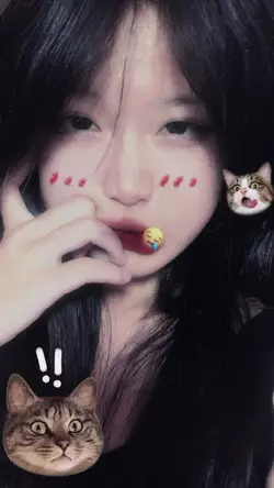 1 ảnh + filter cat