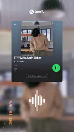 Story Instagram