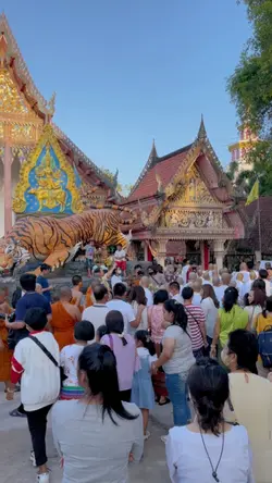 9 วีดีโอ