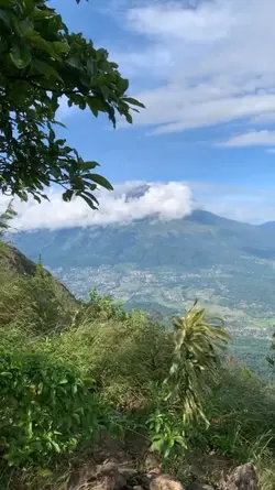 Suasana Tenang