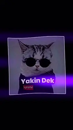 StikerViralKeren