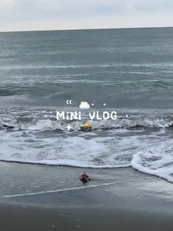 mini vlog