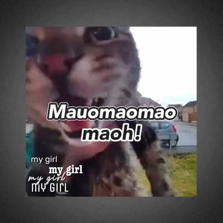 maoh！