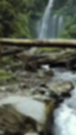 Slow motion trend